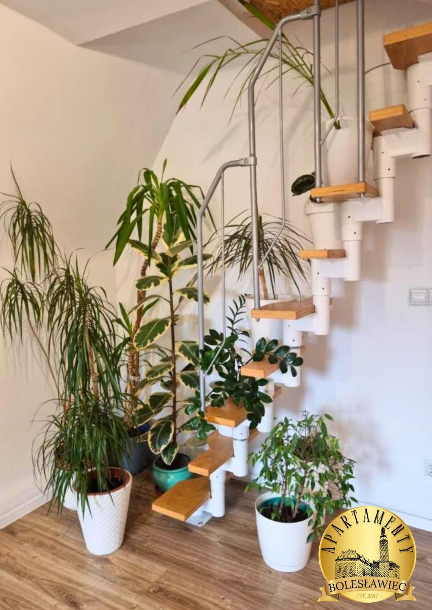 Apartament W Rynku Boleslawiec  Buitenkant foto